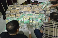 Hàng trăm kg ma túy tổng hợp được công an thu giữ. (Ảnh: C04)