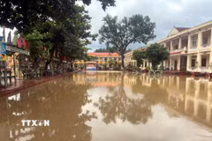 Lốc xoáy, mưa lớn gây thiệt hại cho nhiều nhà dân, trường học tại phường Chu Văn An. (Ảnh: Mạnh Tú/TTXVN)