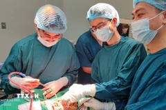 Các bác sỹ Bệnh viện Hữu nghị Việt Nam – Cuba Đồng Hới (Quảng Trị) phẫu thuật cấp cứu thành công trường hợp bệnh nhân có vết thương nghiêm trọng, phức tạp vùng cổ. (Ảnh: TTXVN phát)