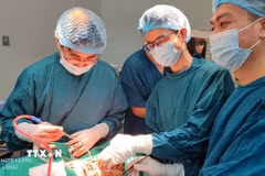 Ảnh minh họa. (Ảnh: TTXVN phát)
