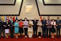Các đại biểu dự phiên họp. (Ảnh: TTXVN)