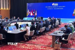 Quang cảnh tại phiên họp Hội đồng Cộng đồng kinh tế ASEAN. (Ảnh: Viên Luyến/TTXVN)