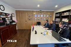 Đầu cầu Đại sứ quán Việt Nam tại Australia trong buổi gặp mặt trực tuyến. (Ảnh: TTXVN phát)