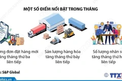 Tháng 11/2025: PMI đạt 53,8 điểm, ngành sản xuất Việt Nam tăng trưởng mạnh 