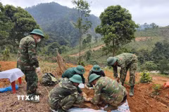 Ảnh minh họa. (Nguồn: TTXVN)