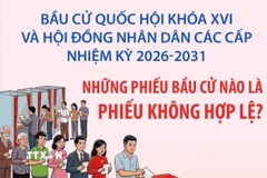 Bầu cử Quốc hội và HĐND: Những phiếu bầu cử nào là phiếu không hợp lệ? 