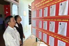 Đảng viên và cử tri thôn Sơn Trung (xã Phú Nghĩa) tìm hiểu tiểu sử đại biểu ứng cử. (Ảnh: K GỬIH/TTXVN)