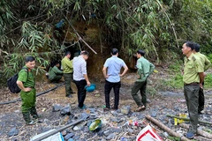 Cơ quan chức năng phát hiện một điểm khai thác khoáng sản trái phép tại Đắk Glong. (Nguồn: Báo Lâm Đồng)