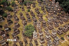 Vườn tháp chùa Bổ Đà là một trong những vườn tháp đẹp và lớn nhất Việt Nam. (Ảnh: Danh Lam /TTXVN)