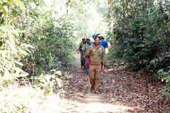 Người dân tộc thiểu số tham gia quản lý, bảo vệ rừng tại nhiều doanh nghiệp lâm nghiệp tại Lâm Đồng. (Ảnh tư liệu: Hưng Thịnh/TTXVN)