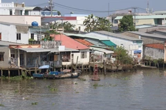 Ảnh minh họa. (Nguồn: TTXVN)