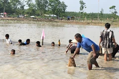 Người dân dùng dụng cụ truyền thống bắt cá tại Lễ hội Phá Bàu. (Ảnh: K GỬIH/TTXVN)