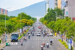 (Ảnh minh họa: Văn Dũng/TTXVN)