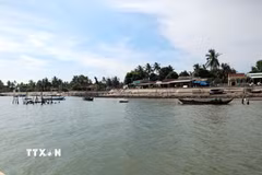 Những mái nhà của người dân ở thôn "ốc đảo" Long Thạnh Tây thuộc xã đảo Tam Hải. (Ảnh: Đỗ Trưởng/TTXVN)