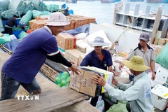Hàng hóa, nhu yếu phẩm được tập kết lên tàu vận tải để chở ra đặc khu Lý Sơn. (Ảnh: Lê Phước Ngọc/TTXVN)