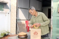 Sản phẩm cá kho Nhân Hậu được đóng gói cẩn thận, có thể vận chuyển xa, rất phù hợp làm quà tặng, quà biếu. (Ảnh: Nguyễn Chinh/TTXVN)