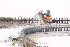 Công nhân ngâm mình trong nước lũ, dọn rác dạt vào cầu đi bộ còn bị ngập sâu ở bờ Nam sông Hương, thành phố Huế sáng 2/11. (Ảnh: Nguyên Lý/TTXVN)