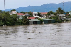 Nước lũ dâng cao tràn qua bờ đê vào nhà người dân sống cạnh khu vực sông Cái Phan Rang (xã Phước Dinh, Khánh Hòa). (Ảnh: Nguyễn Thành/TTXVN)