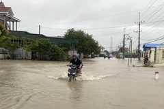 Nước lũ tràn qua đường giao thông liên xã nối Thuận Nam với Phước Dinh. (Ảnh: Công Thử/TTXVN)