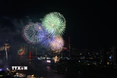 Ảnh minh họa. (Nguồn: TTXVN)