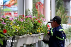 Các đơn vị thi công trang trí, lắp đặt nhiều bồn hoa, tiểu cảnh trên đường Hai Bà Trưng, phường Sài Gòn. (Ảnh: Thanh Vũ/TTXVN)