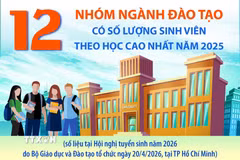 12 nhóm ngành đào tạo có số lượng sinh viên theo học cao nhất năm 2025 