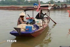 Cá mòi được đánh bắt bằng lưới truyền thống tại khúc sông Hồng chạy qua phường Phố Hiến (Hưng Yên). (Ảnh: Mạnh Khánh/TTXVN)