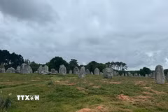 Một phần Rặng đá đứng Carnac. (Ảnh: Đào Dũng/TTXVN)