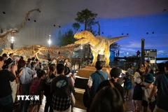 Bảo tàng thu hút du khách nhờ những khu trưng bày với quy mô lớn và phong phú. (Ảnh: Xuân Giao/TTXVN)