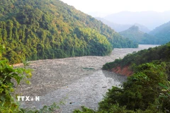 Tình trạng rác, gỗ phủ kín mặt sông Nậm Nơn, lòng hồ Thủy điện Bản Vẽ ảnh hưởng nghiêm trọng đến giao thông đường thủy. (Ảnh: Xuân Tiến/TTXVN)