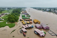 Làng bè Sắc màu nằm ven sông Hậu là điểm tham quan nổi tiếng của Châu Đốc, tỉnh An Giang. (Ảnh: Thanh Sang/TTXVN)