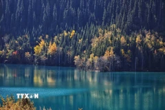 Cảnh đẹp mùa thu tại Almaty, Kazakhstan. (Ảnh: THX/TTXVN)