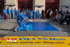 Tiết mục biểu diễn đại đao tại lễ khai trương. (Ảnh: Đào Dũng/TTXVN)