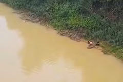 Hai nam sinh đưa nữ sinh vào bờ an toàn. (Ảnh: Người dân cung cấp)