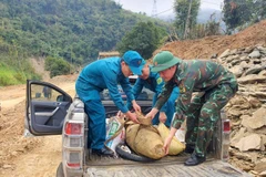 Di dời quả bom mang đi hủy nổ. (Ảnh: TTXVN phát)