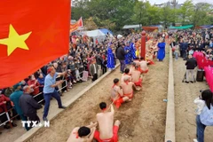 Nghi lễ và thực hành trò chơi kéo co ngồi Đền Trấn Vũ diễn ra vào ngày 3/3 âm lịch hằng năm. (Ảnh: Thanh Tùng/TTXVN)