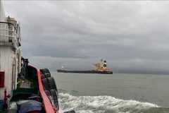 Ảnh minh họa. (Nguồn: TTXVN)