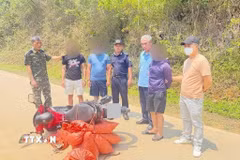 Các đối tượng cùng số tang vật vừa được phát hiện. (Ảnh: TTXVN phát)