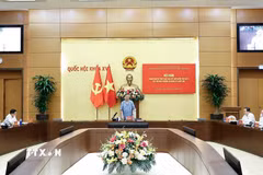 Tổng Bí thư, Chủ tịch nước Tô Lâm phát biểu. (Ảnh: Doãn Tấn/TTXVN)