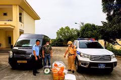 Tổ công tác Đội Cảnh sát giao thông đường bộ số 1 (Công an tỉnh) kiểm tra số lượng trứng gà non không có hóa đơn, chứng từ trên xe khách lưu thông qua địa phận phường Yên Tử, ngày 22/4. (Ảnh: TTXVN phát)