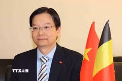 Ông Trần Ngọc Quân, Tham tán Thương mại, Trưởng Cơ quan Thương vụ Việt Nam tại Vương quốc Bỉ và EU. (Ảnh: Hương Giang/TTXVN )