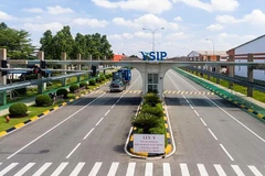 Một góc Khu công nghiệp Việt Nam - Singapore tại Bình Dương.