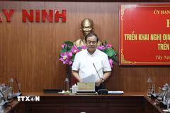 Phó Chủ tịch UBND tỉnh Tây Ninh Nguyễn Hồng Thanh yêu cầu các đơn vị, địa phương triển khai Nghị định 153 trên địa bàn đồng bộ, thống nhất. (Ảnh: Bùi Giang /TTXVN)