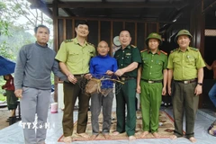 Người dân tự nguyện giao nộp cá thể khỉ đuôi lợn nhóm IIB cho các lực lượng chức năng. (Ảnh: TTXVN phát)