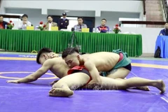 Ảnh minh họa. (Nguồn: TTXVN)
