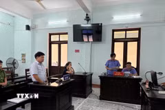Phiên toà xét xử. (Ảnh: TTXVN phát)