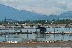 Khu neo đậu có diện tích vùng nước rộng 104 ha, trong đó có 52 ha được nạo vét ở cao trình từ 2,5m đến 4,5m. (Ảnh: Đoàn Hữu Trung/TTXVN)