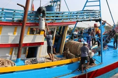 Ngư dân vận chuyển bình gas cho chuyến ra khơi đầu năm mới. (Ảnh: Hữu Chí /TTXVN)