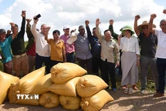 Ảnh minh họa. (Nguồn: Việt Hùng/TTXVN)