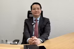 Giáo sư, Tiến sỹ Đặng Hoàng Linh, Tham tán Đại sứ quán Việt Nam tại Đức. (Ảnh: TTXVN phát)